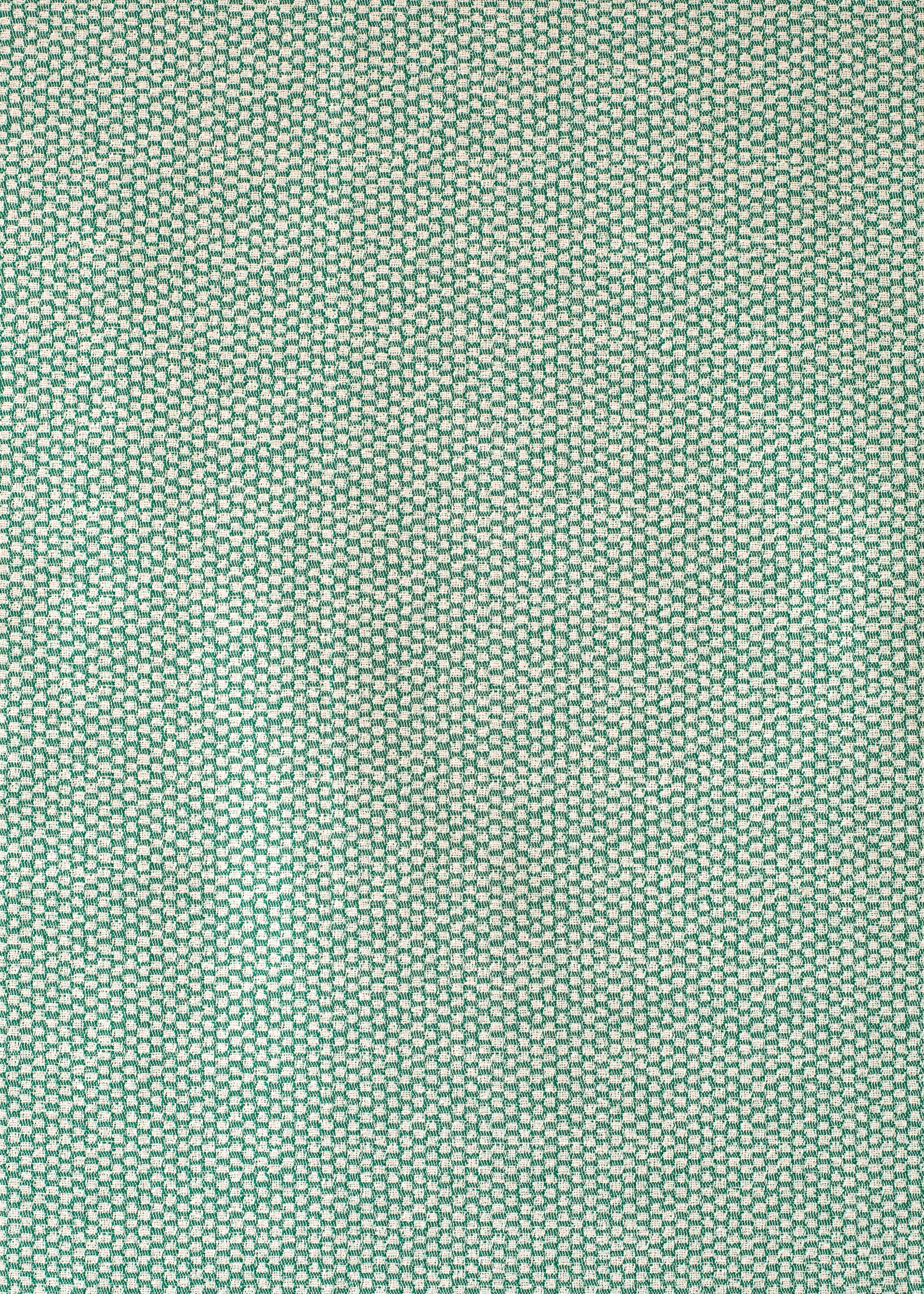 Detail of fabric in a dense checked weave in green and white.