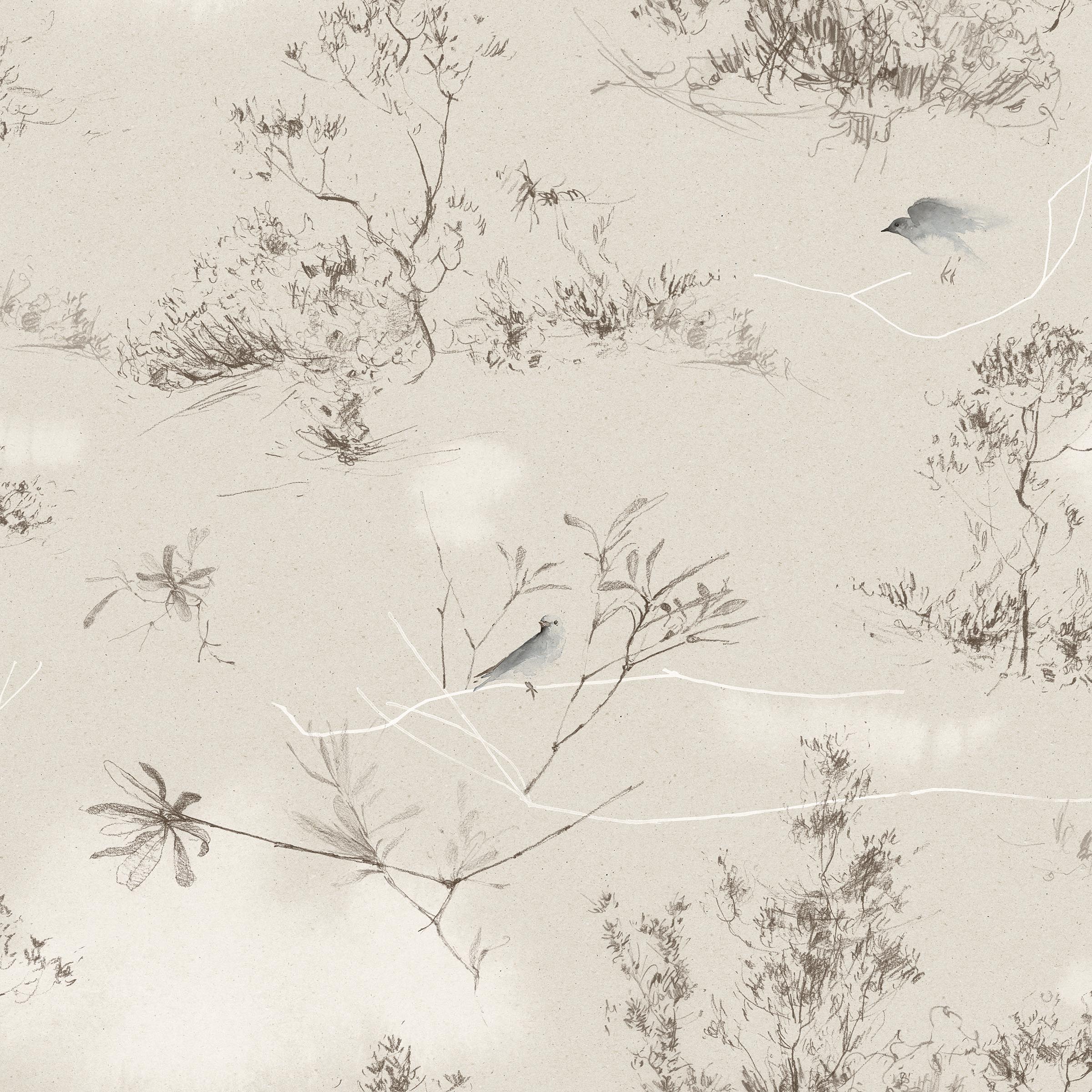 Detail of wallpaper in a painterly bird and branch print in shades of gray, brown and white on a cream field.