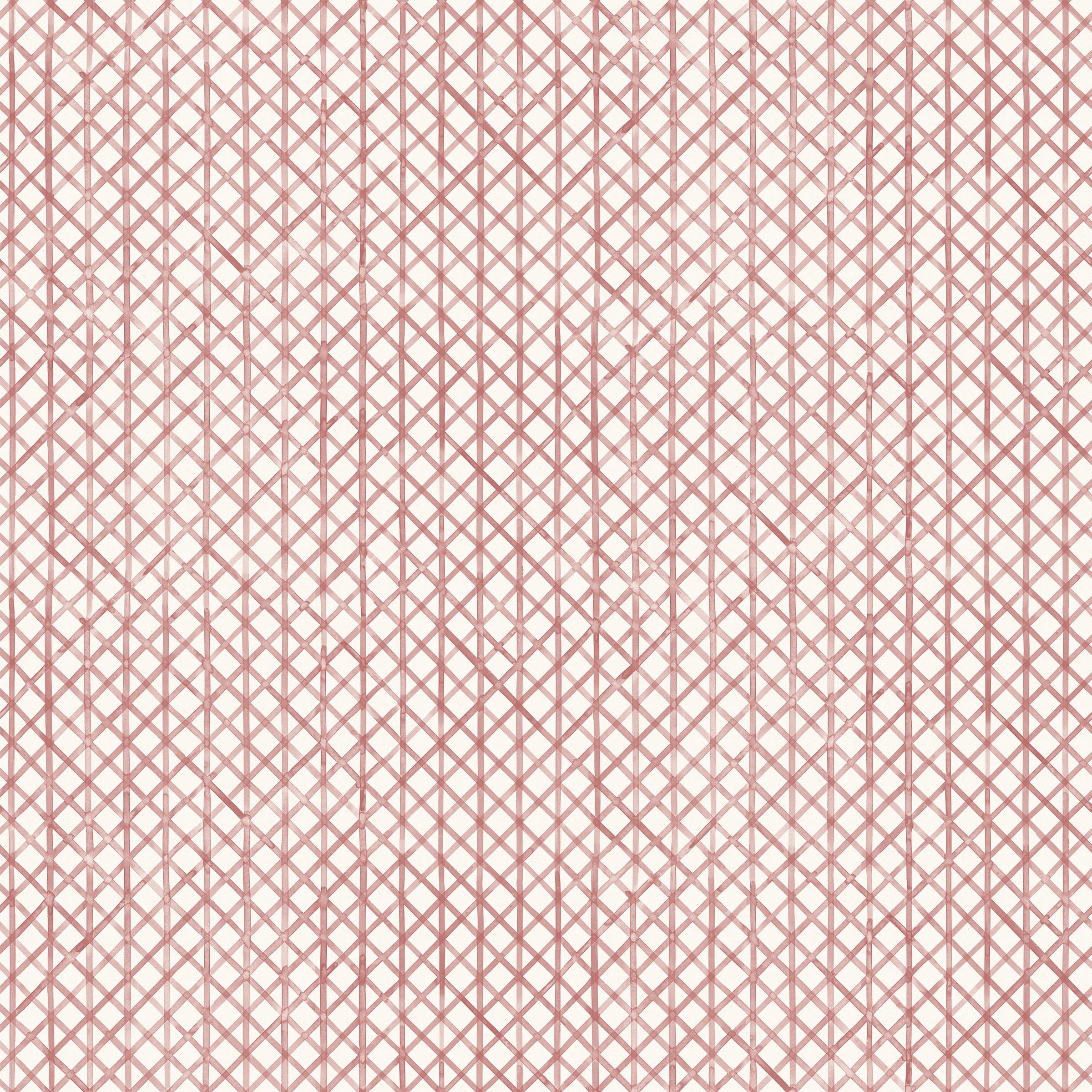 Detail of wallpaper in an intricate striped grid pattern in dusty rose on a white field.