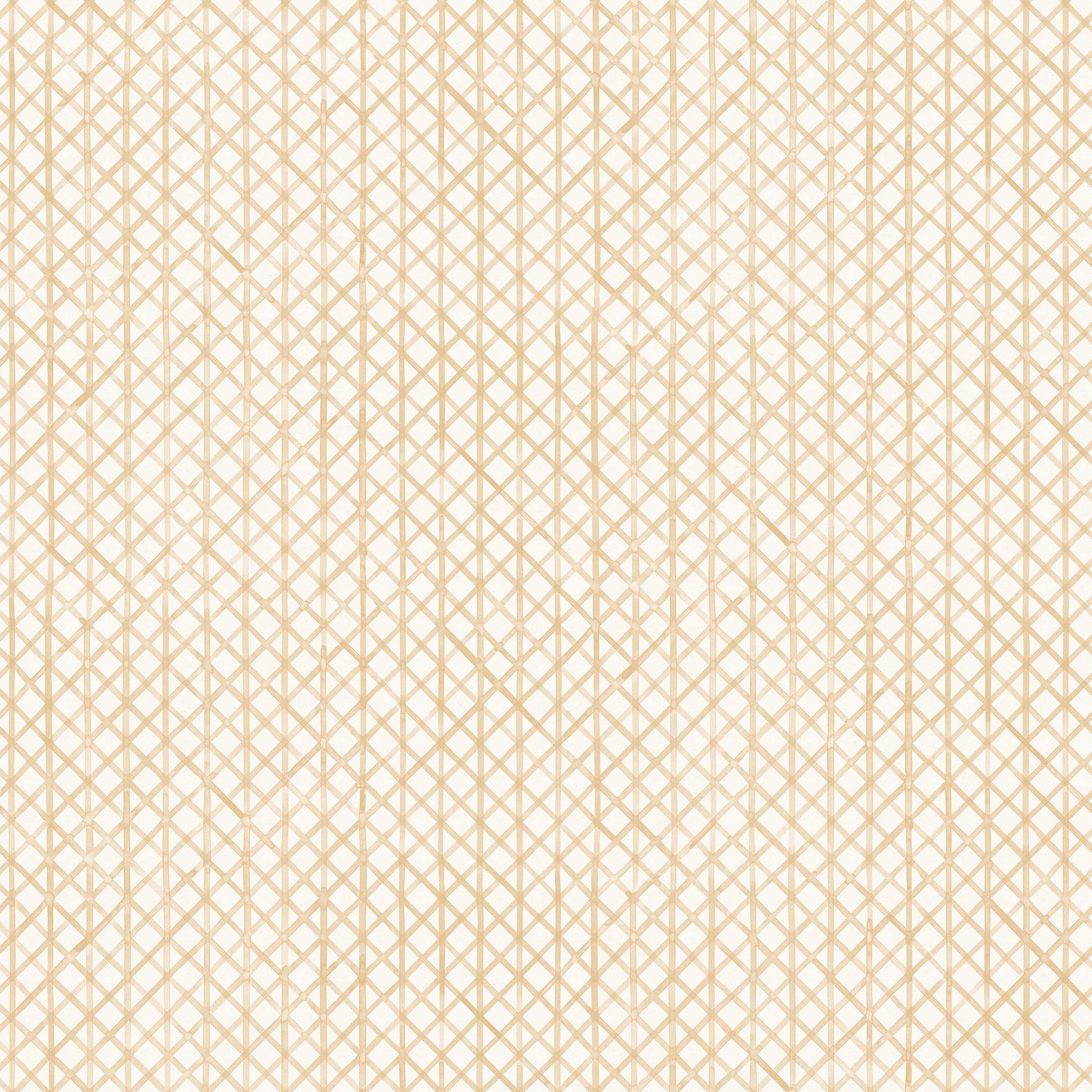 Detail of wallpaper in an intricate striped grid pattern in gold on a white field.