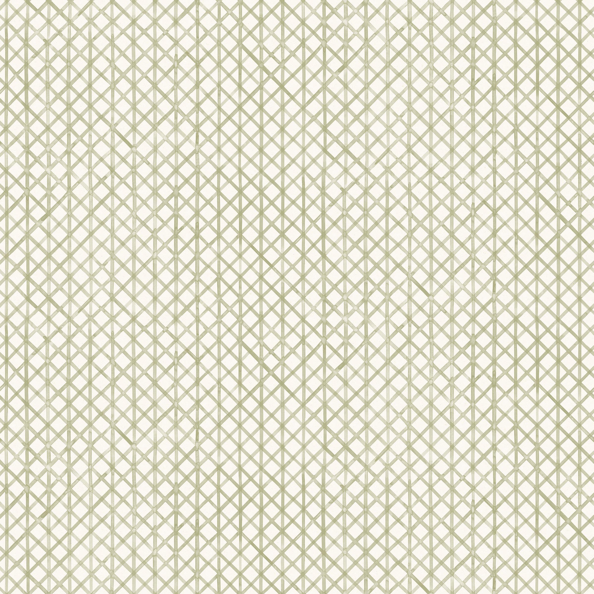 Detail of wallpaper in an intricate striped grid pattern in sage on a white field.
