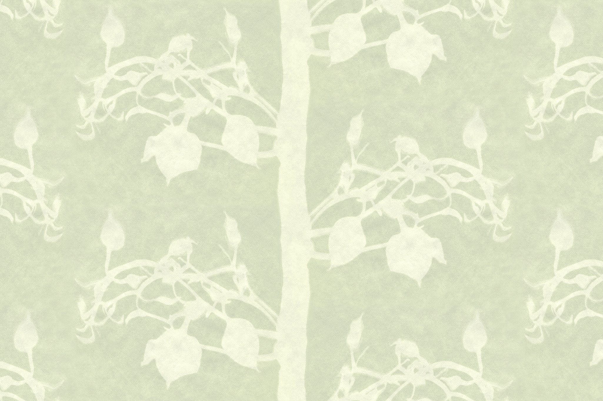 Detail of wallpaper in a linear tree and leaf print in cream on a light green field.