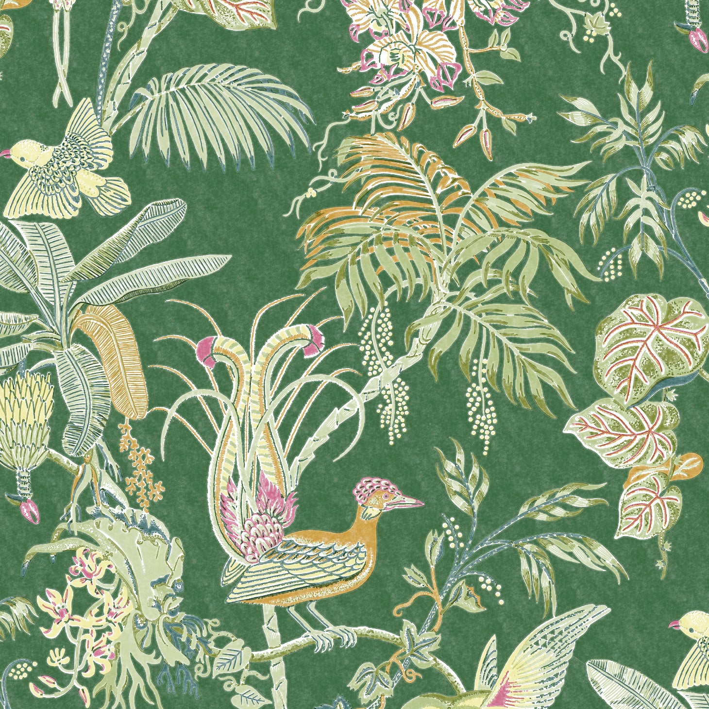 Detail of wallpaper in a dense bird and botanical print in shades of orange, pink and green on a green field.
