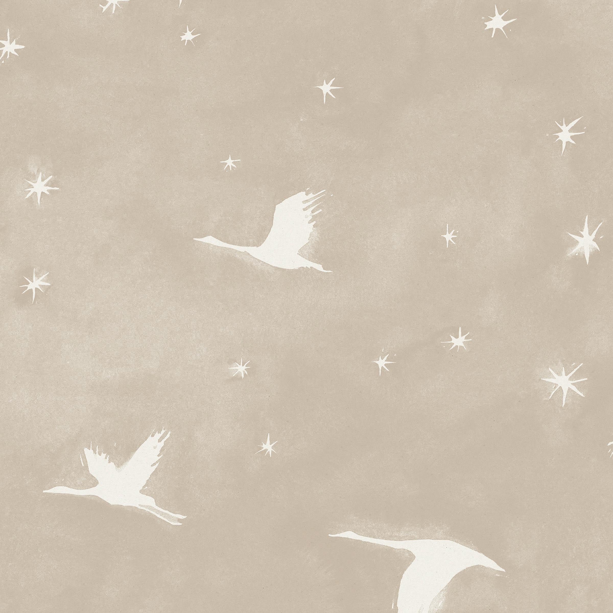 Detail of wallpaper in a repeating print of birds and stars in white on a tan watercolor field.
