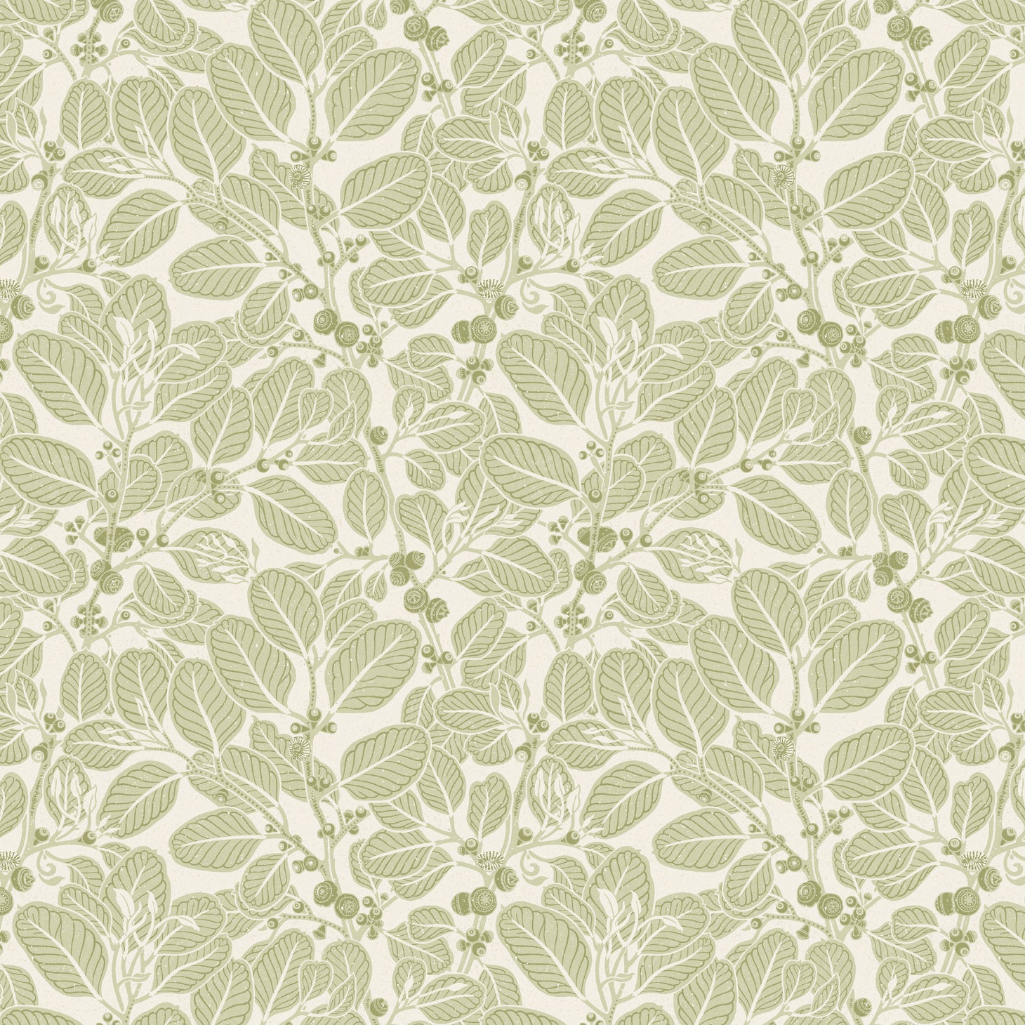 Detail of wallpaper in a dense leaf and stem print in sage on a white field.
