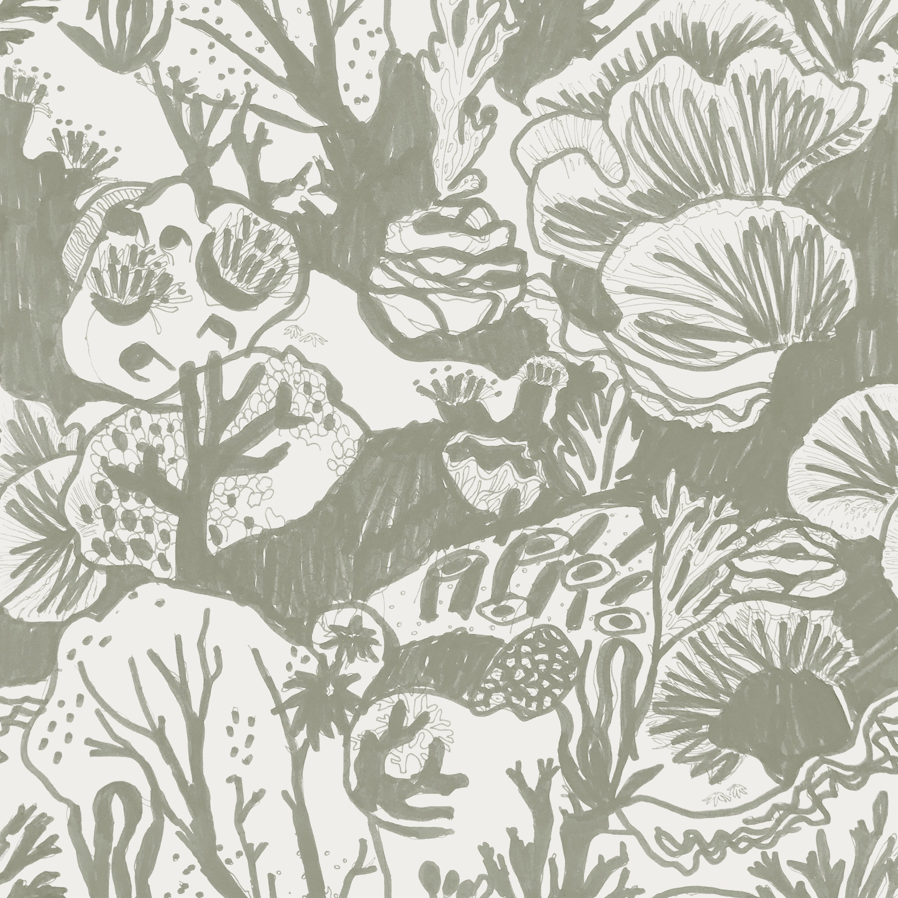Detail of wallpaper in a playful reef print in sage on a white field.