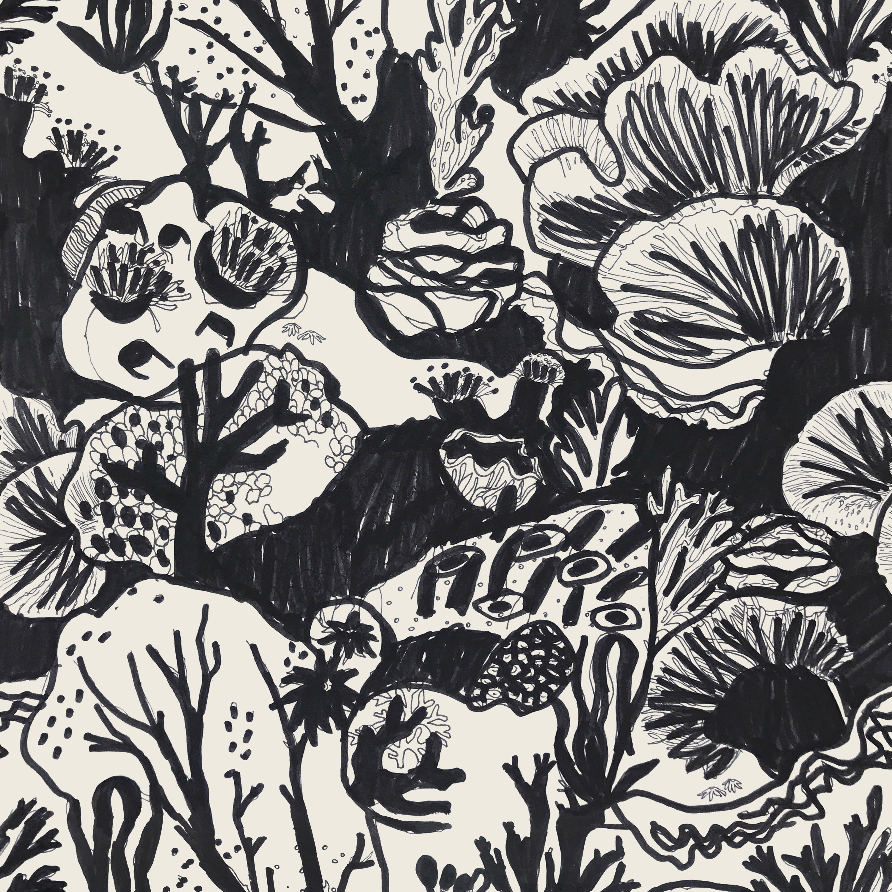 Detail of wallpaper in a playful reef print in charcoal on a white field.