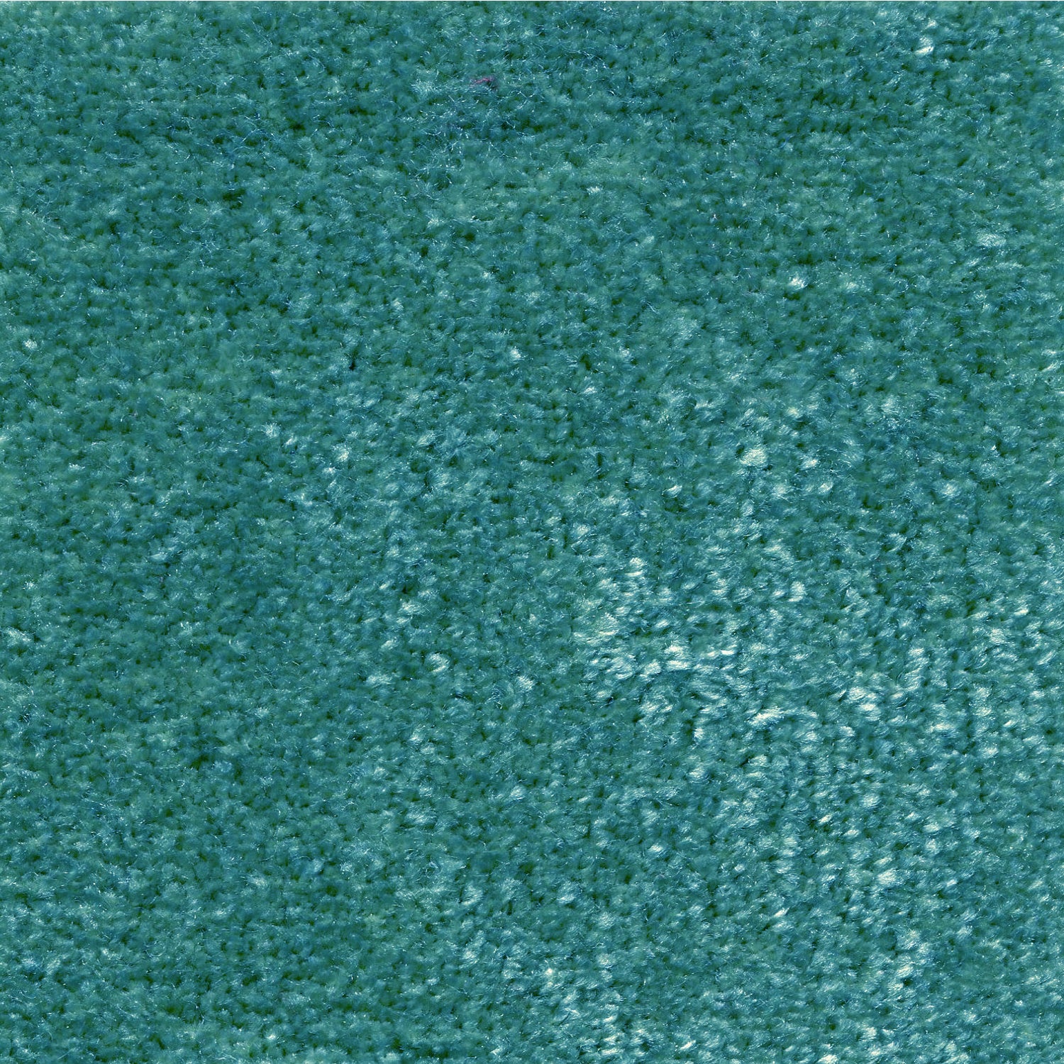 Synthetic blend broadloom carpet swatch in a cut pile texture in turquoise.