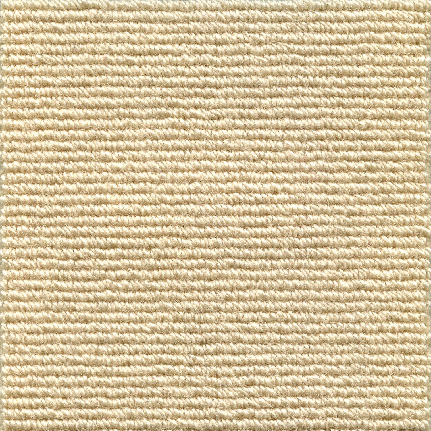 Wool broadloom carpet swatch in a chunky ribbed weave in cream.