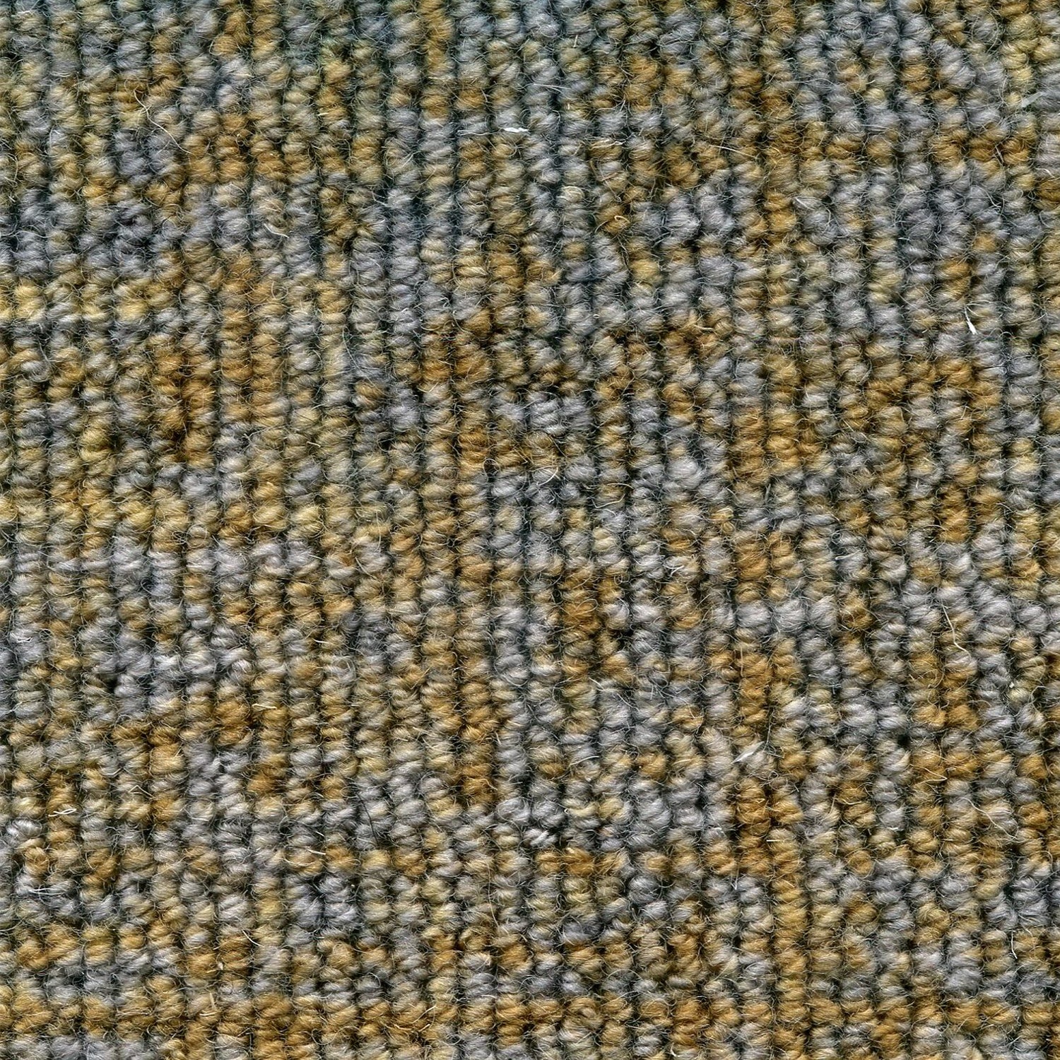 Wool broadloom carpet swatch in a chunky loop weave in mottled gray and olive.