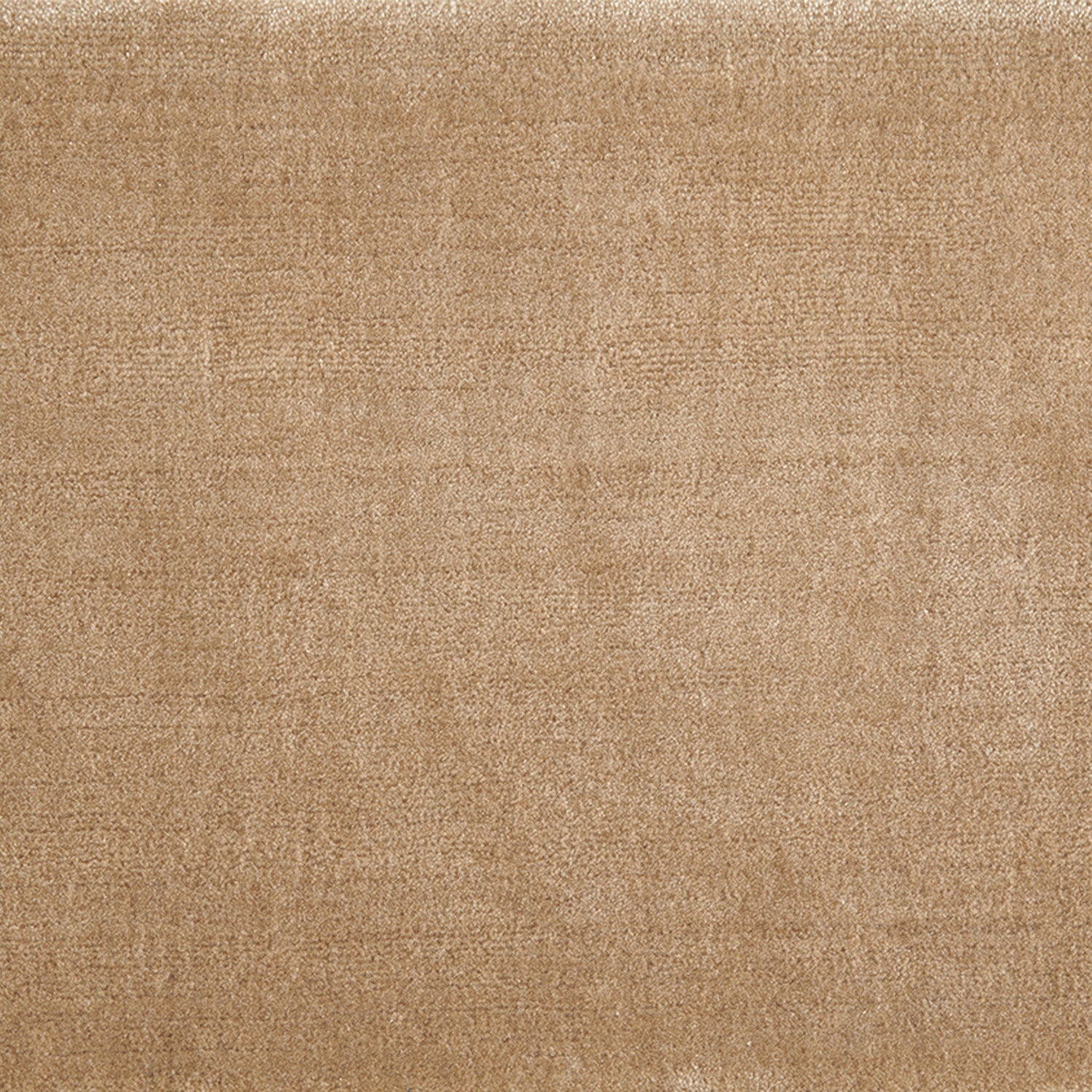 Nylon broadloom carpet swatch in a cut pile texture in tan.