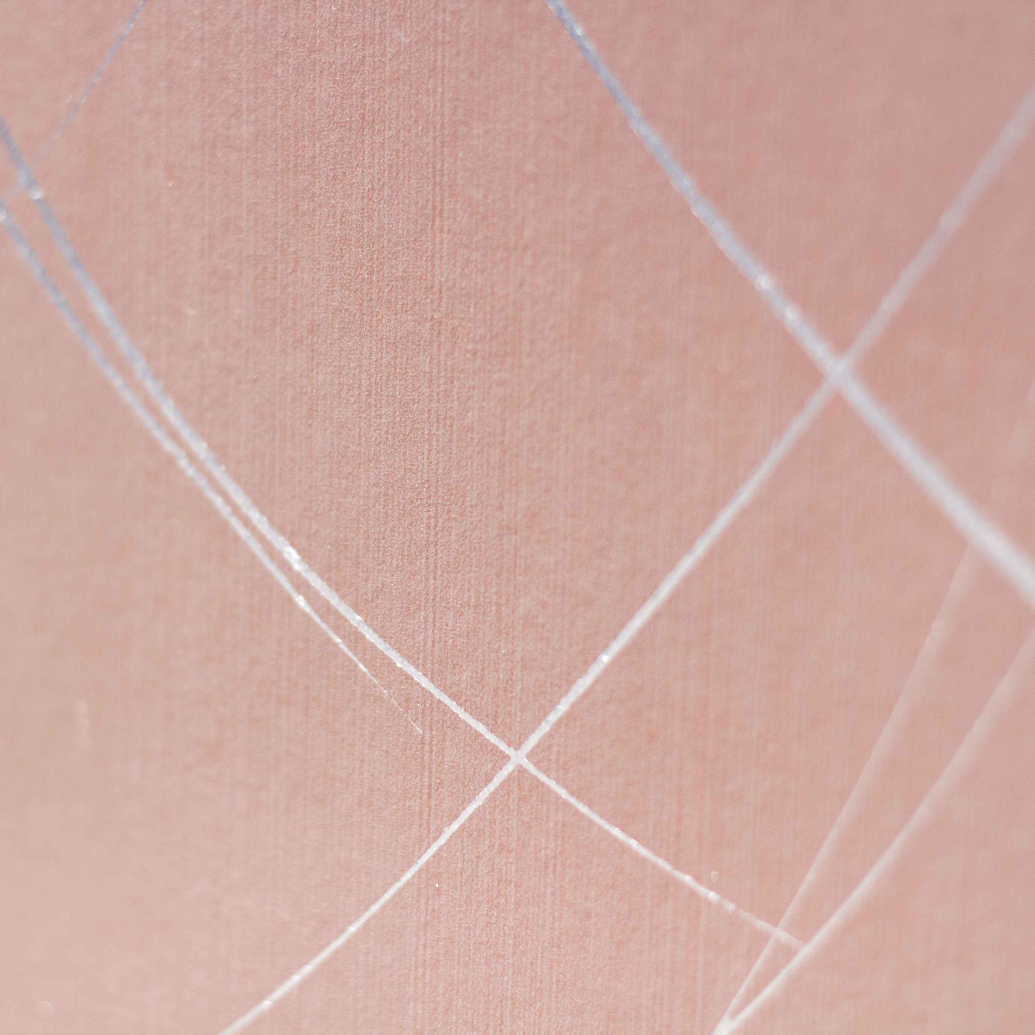 Wide-angle shot of wallpaper in an abstract curved line pattern in silver on a pink field.