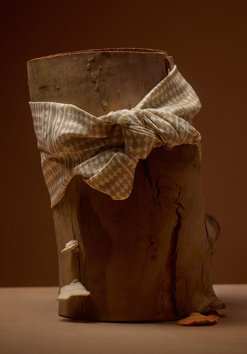 Wooden log with a checkered cloth tied around it against a brown background