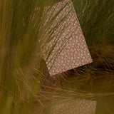 Patterned paper on grass with a warm color tone