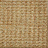 Close-up of a textured woven performance carpet in tan.