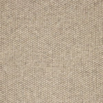 Broadloom carpet swatch in textural medium grey color