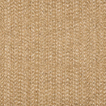 Broadloom carpet in a textural weave in shades of tan with cream accents.