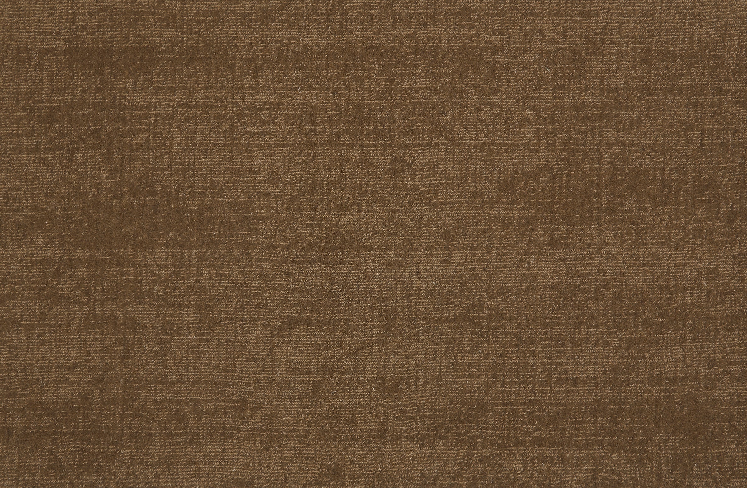 Broadloom carpet in solid brown.