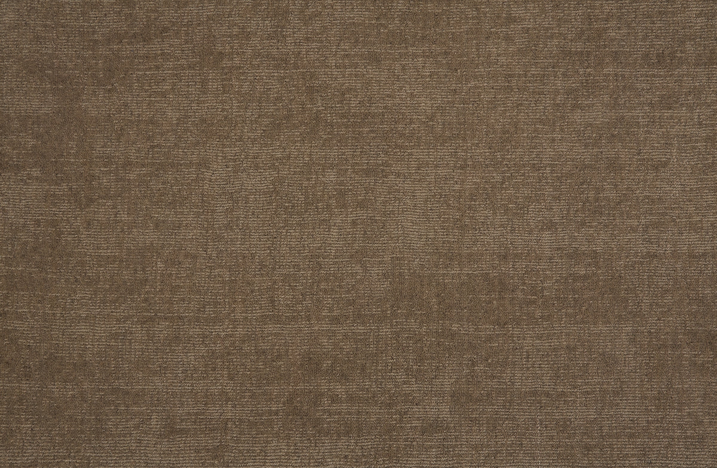 Broadloom carpet in solid brown.