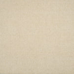 Broadloom carpet in solid ivory.