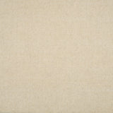 Broadloom carpet in solid ivory.