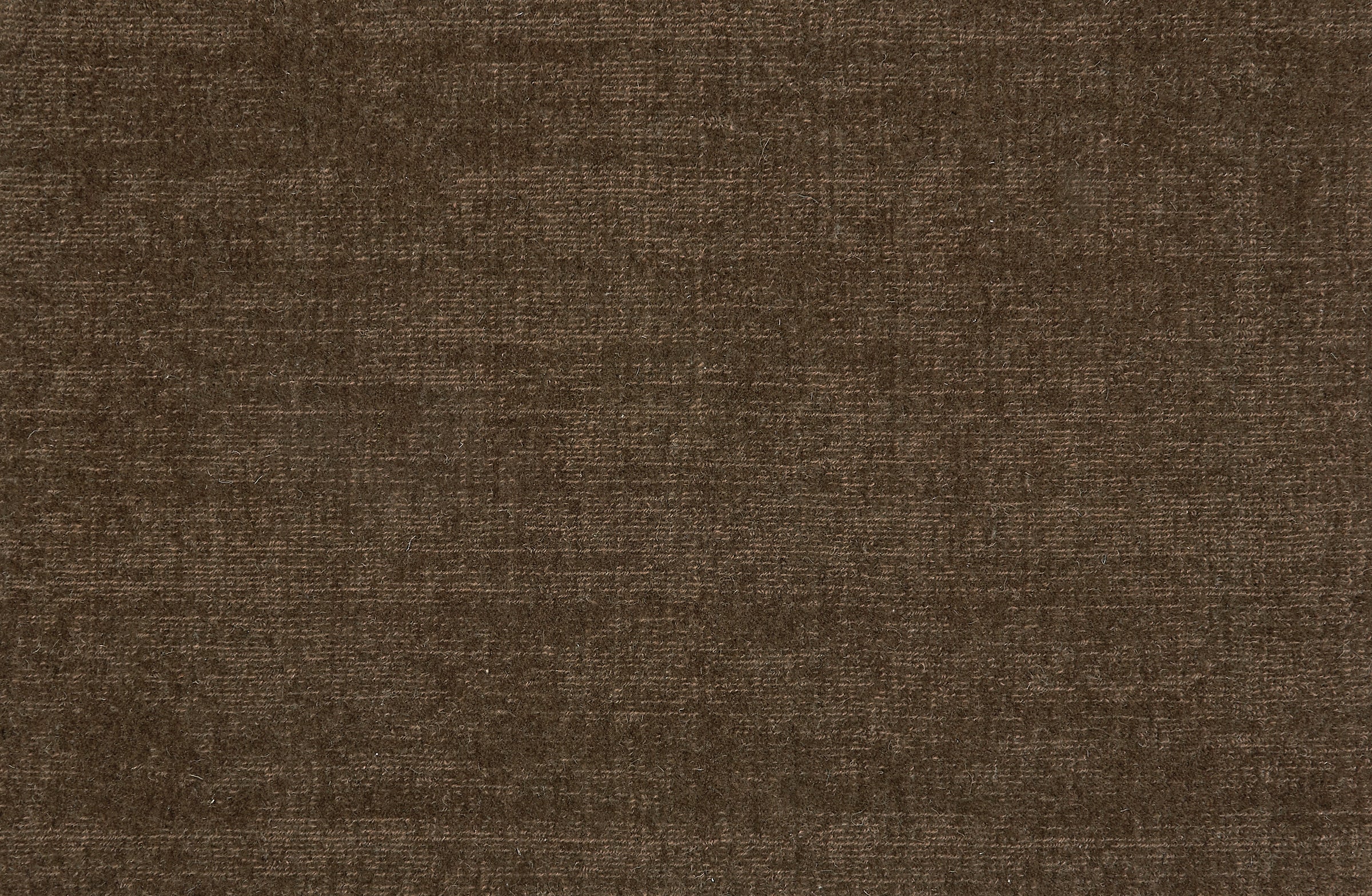 Broadloom carpet in solid brown.