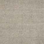 Broadloom carpet in solid greige.