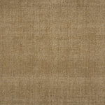 Broadloom carpet in solid tan.