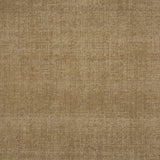 Broadloom carpet in solid tan.