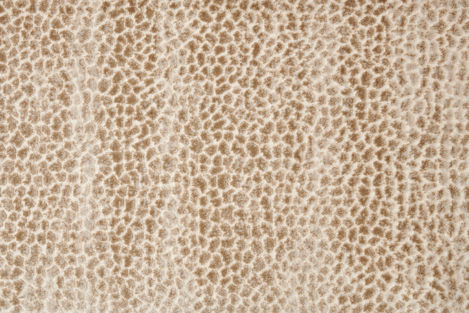 Broadloom carpet swatch textural design in brown