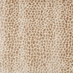 Broadloom carpet swatch textural design in brown