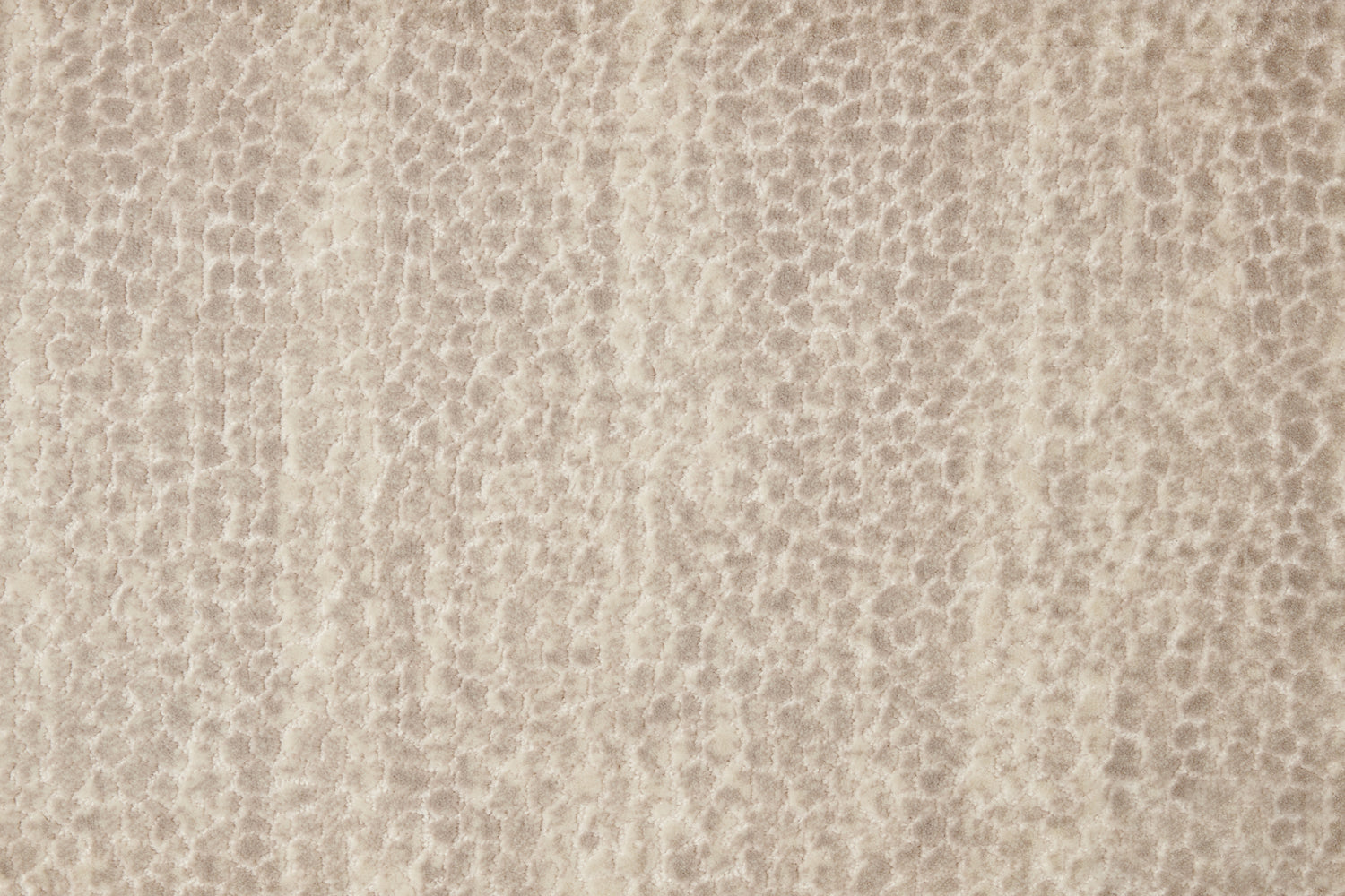 Broadloom carpet swatch textural design in cream/tan Broadloom carpet swatch textural design in grey