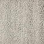 Broadloom carpet swatch textural design in dark grey 