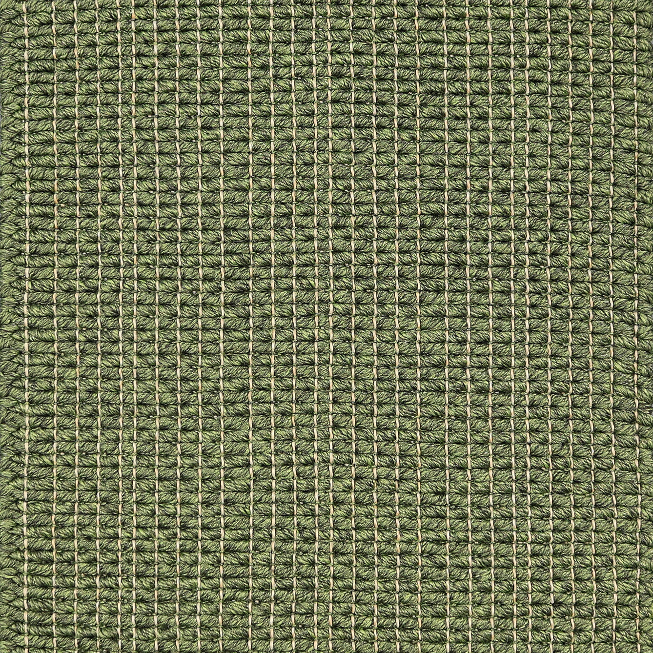 Textured woven outdoor carpe in green.