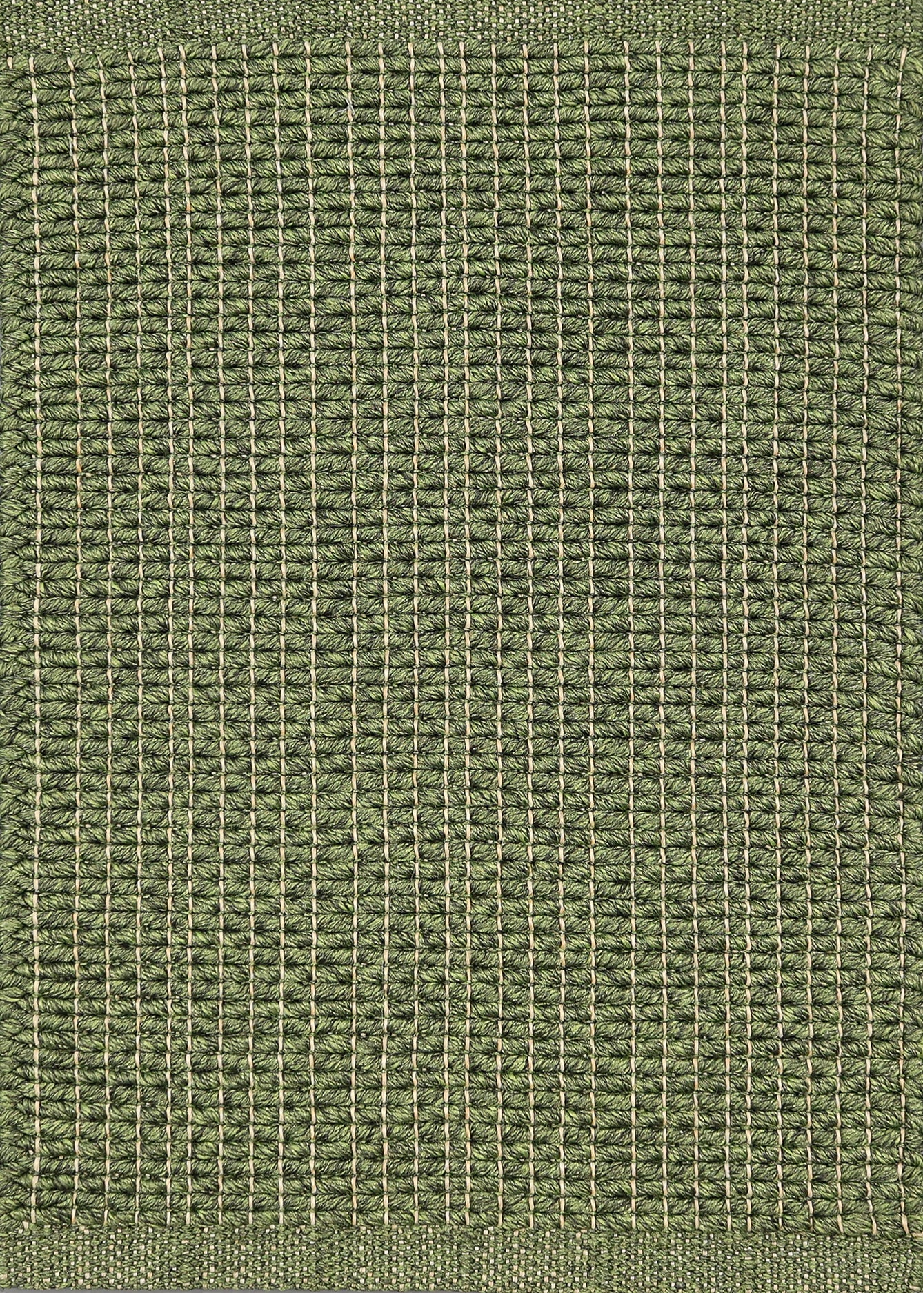 Textured woven outdoor carpe in green.