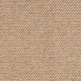 Textured tan carpet