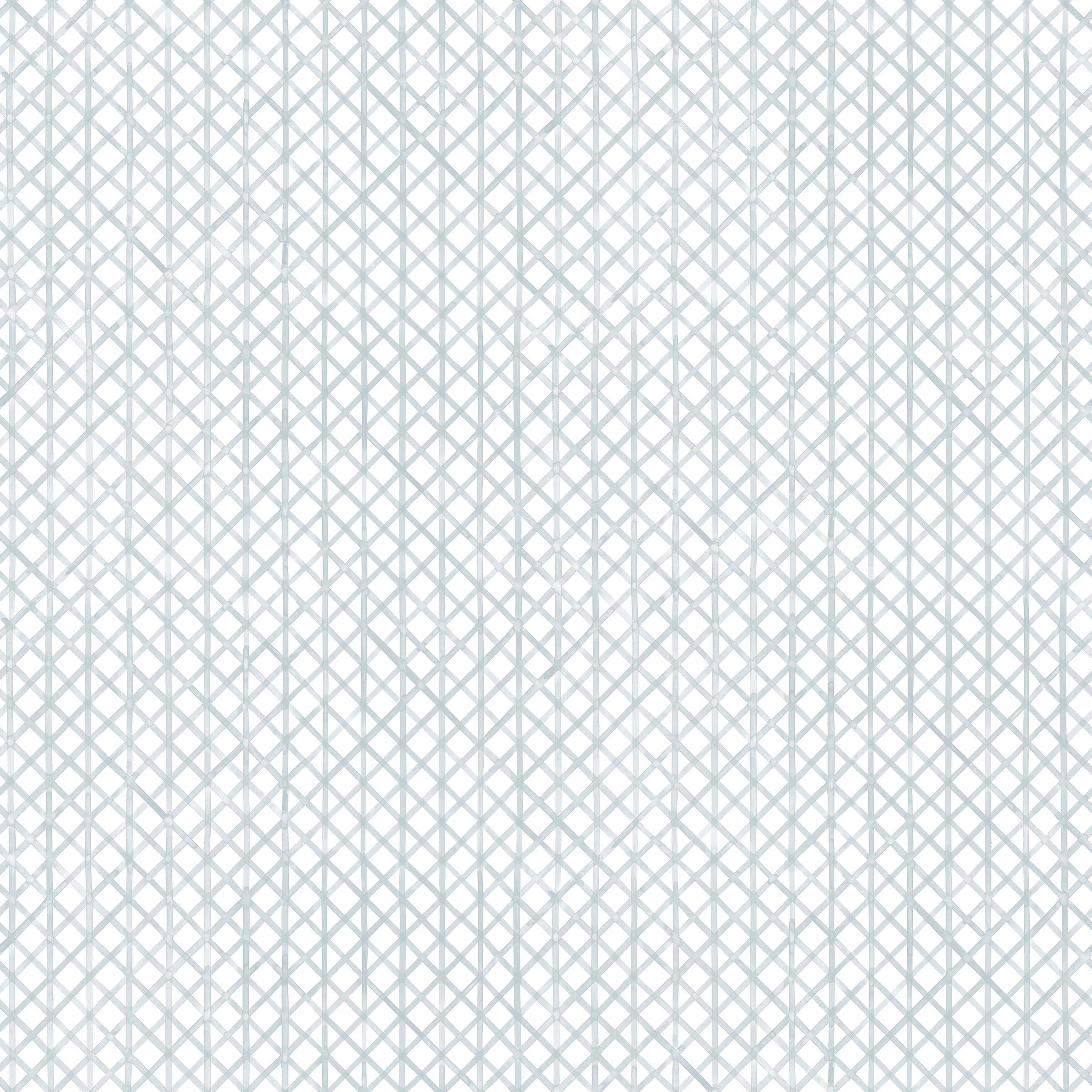 Detail of fabric in an intricate striped grid pattern in light blue on a white field.