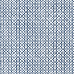 Detail of fabric in an intricate striped grid pattern in navy on a white field.
