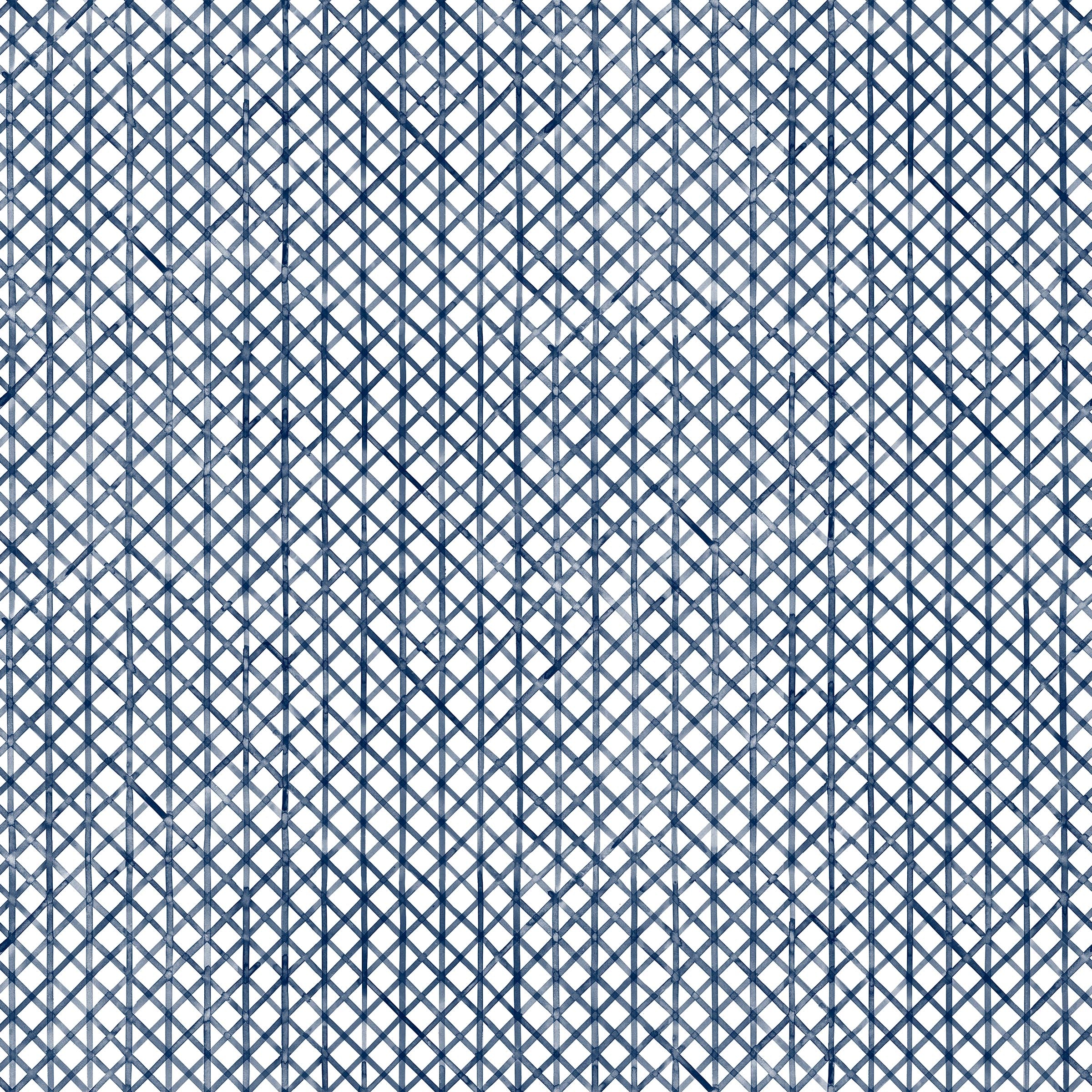 Detail of fabric in an intricate striped grid pattern in navy on a white field.