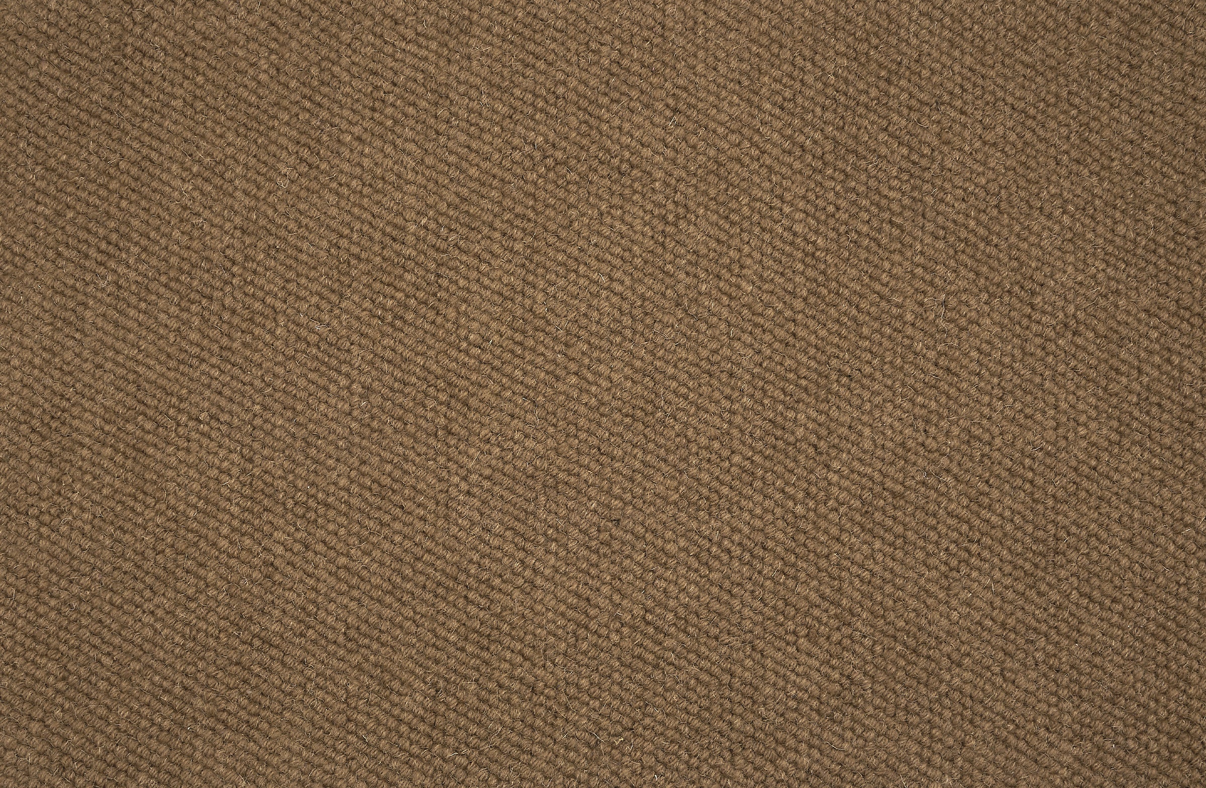 Close-up of loop broadloom carpet in brown.