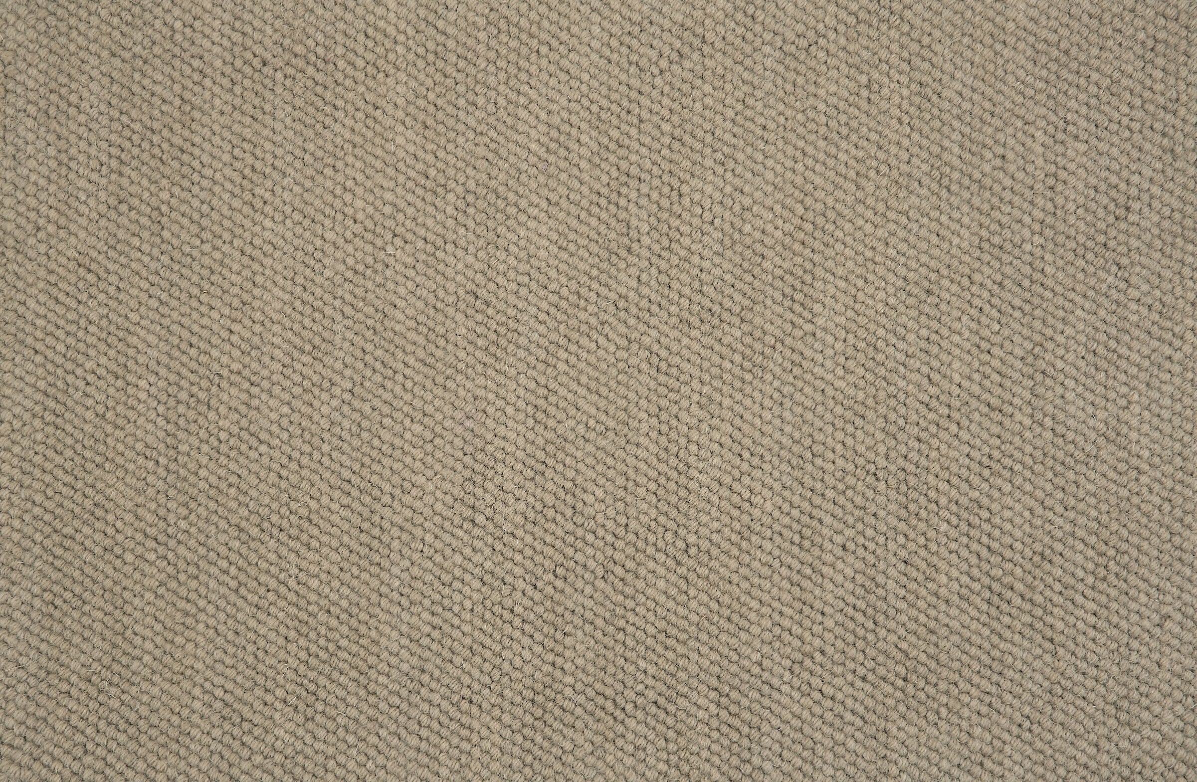 Close-up of loop broadloom carpet in ecru