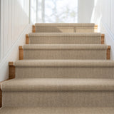 Carpeted staircase with wooden steps in a home setting