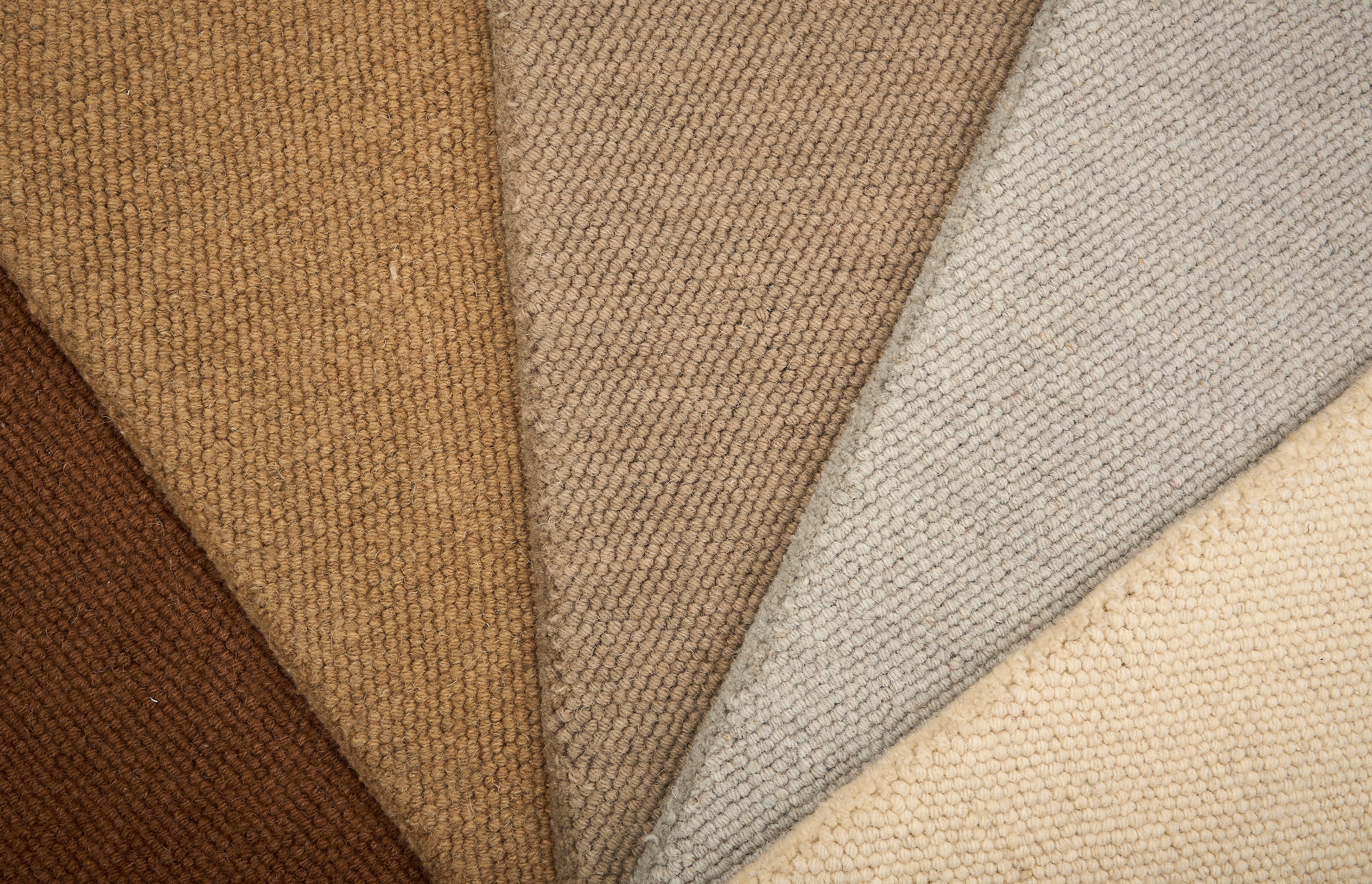 Close-up of loop broadloom carpet in a range of neutral colors. 