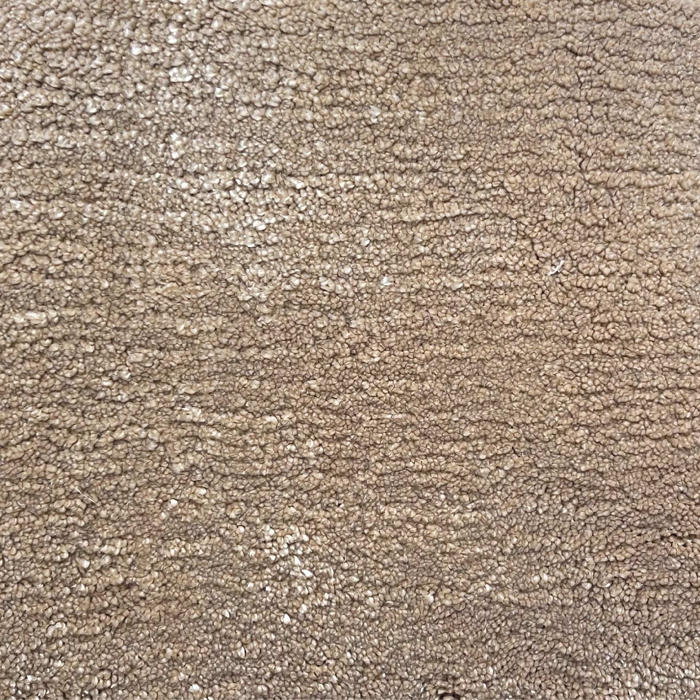 Broadloom carpet in cut pile in taupe. 