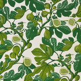 Pattern of green leaves and figs on a white background