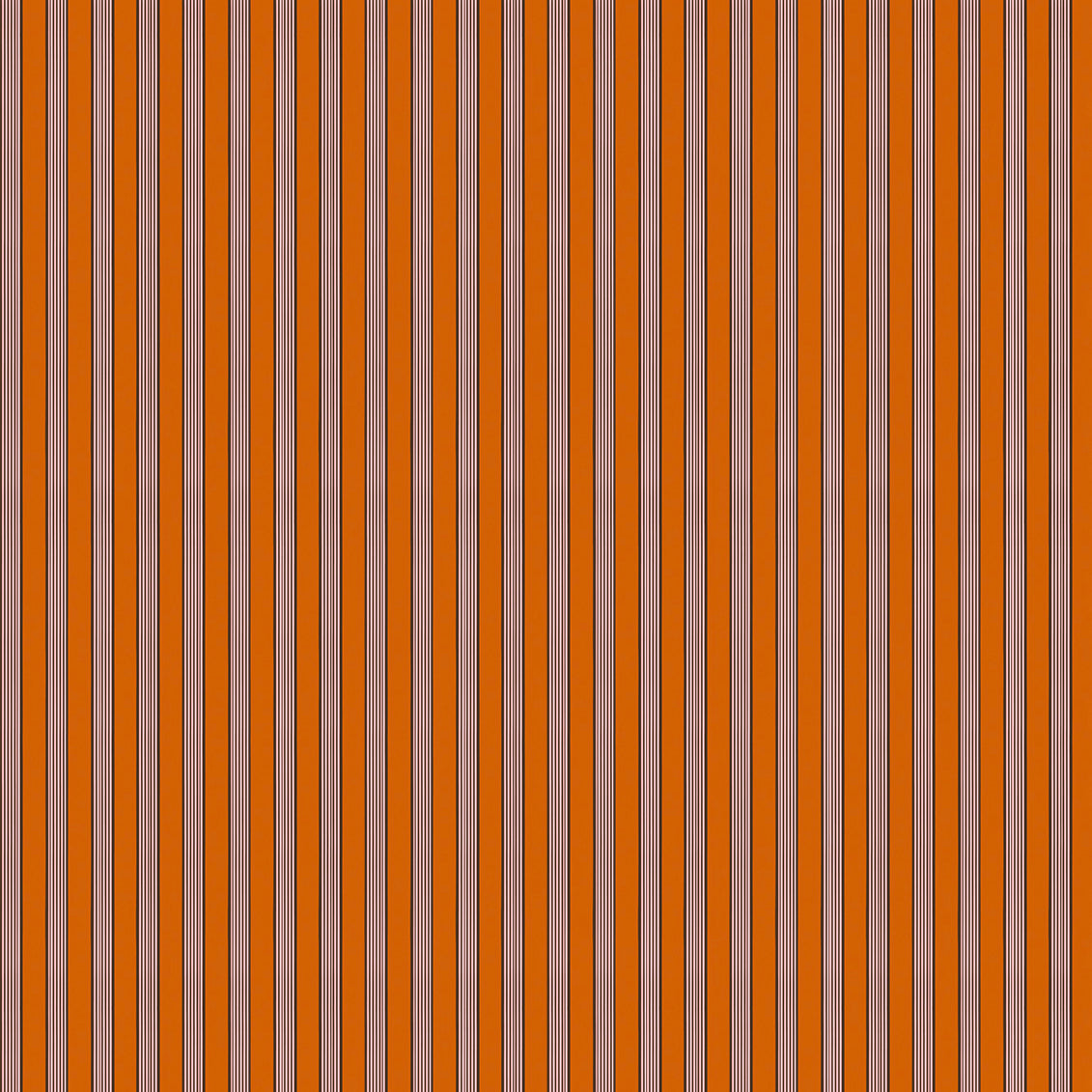 Mixed width striped wallpaper in orange, white and black