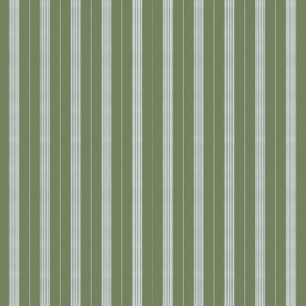 Mixed width striped wallpaper in green and white