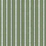Mixed width striped wallpaper in green and white