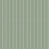 Mixed width striped wallpaper in light blue and green