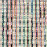 Handwoven fabric detail in a tight checkerboard pattern with blue, green yellow and red stripes against a cream field.